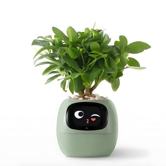 Interaktive smarte Blumentopf, grün, mit Gesichtsanzeige, für Zimmerpflanzen, modern.