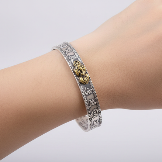 Hypoallergenes Silberarmband - PixiuBand