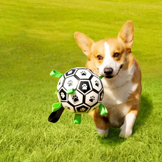 Nachhaltiger Hundesportball mit Griffen – TugBounce