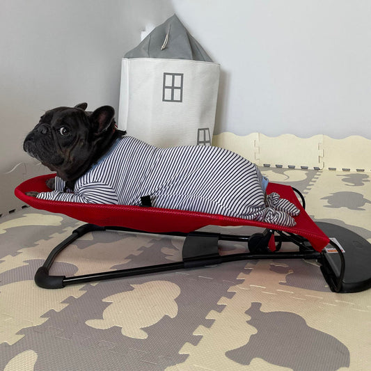 Französische Bulldogge in gestreiftem Pyjama auf rotem Hundebett, Spielmatte im Hintergrund.