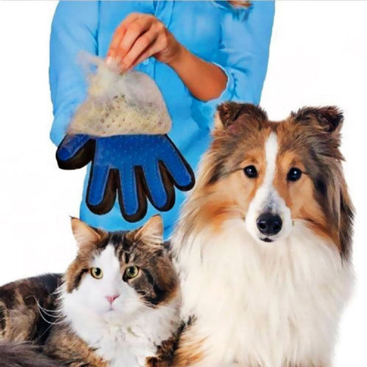 Hund und Katze mit blauer Fellpflege-Handschuh, entfernt Tierhaare, Haustierpflegezubehör.