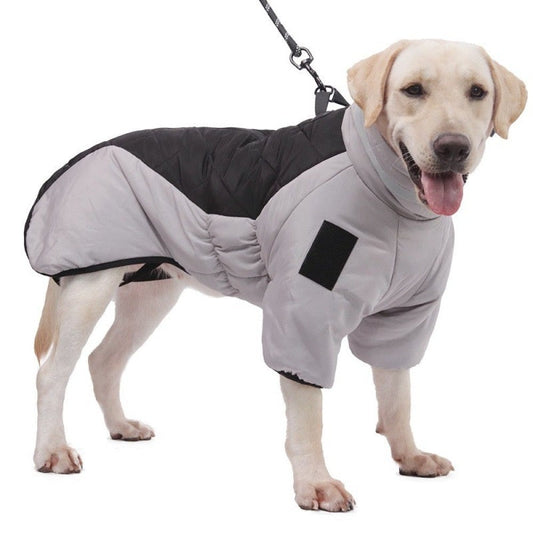 Labrador im grauen Hundemantel mit Leine, Winterjacke für Hunde, wetterfest, warm.