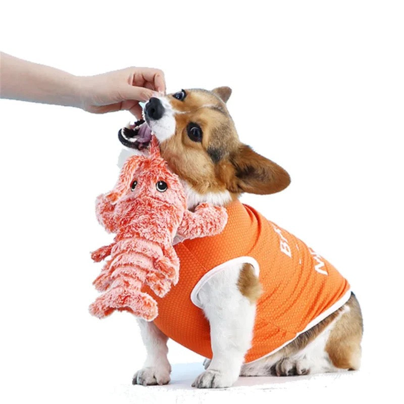 Corgi im orangefarbenen Hundepullover spielt mit rosa Plüschspielzeug.