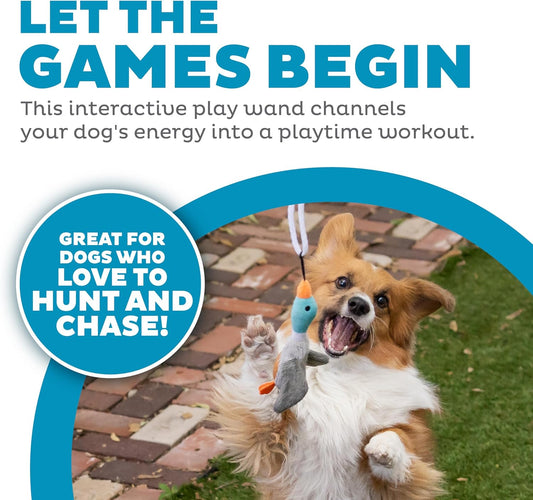 Hund spielt mit interaktivem Spielstab, Plüschspielzeug, Hundetraining, Outdoor-Aktivität.