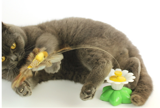 Graue Katze spielt mit interaktivem Katzenspielzeug, Federstab, Blume, Unterhaltung.