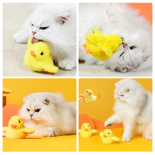 Weiße Katze spielt mit gelbem Plüschküken, Haustierspielzeug, flauschig, interaktiv, niedlich.