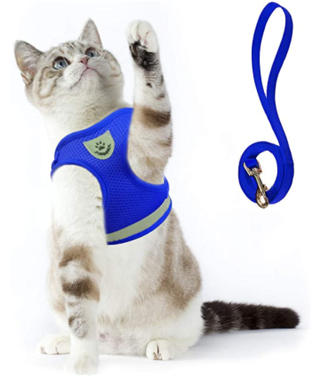 Blaues Katzengeschirr mit Leine, Testsieger, atmungsaktiv, sicher, bequem, für Spaziergänge.