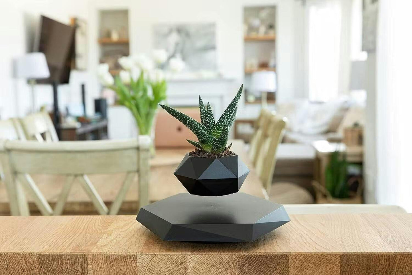 Schwebender Pflanzenhalter mit magnetischer Levitation - Liva