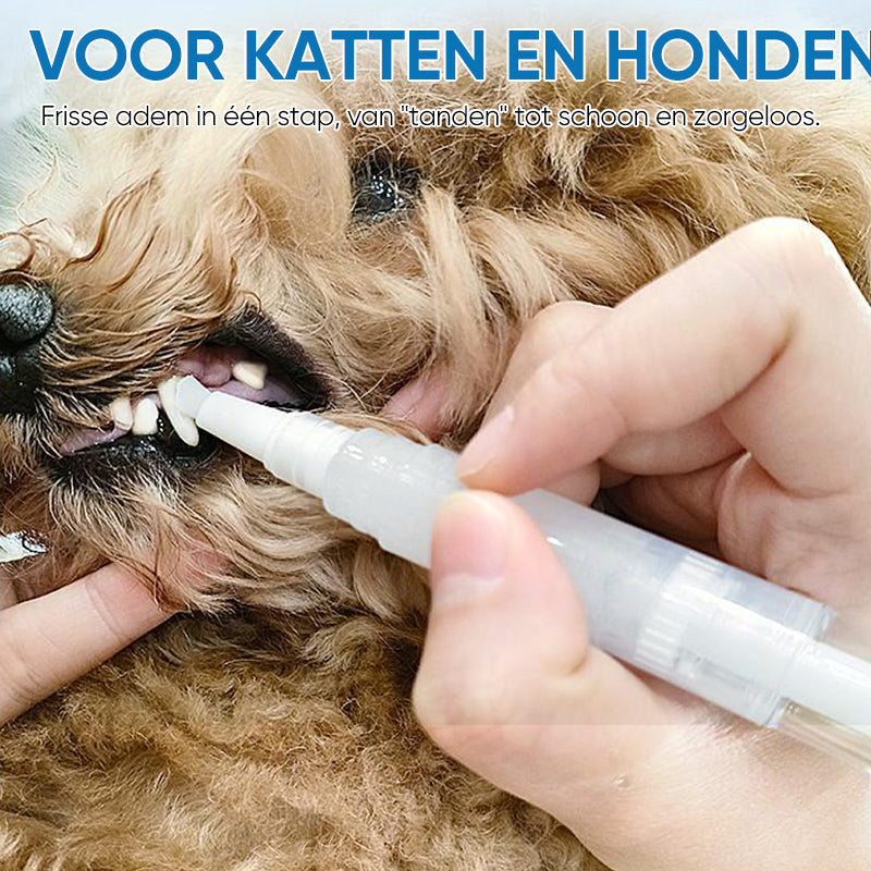 Hund erhält Zahnpflege mit Zahnbürste, geeignet für Katzen und Hunde, Zahnhygiene, Tierpflege.