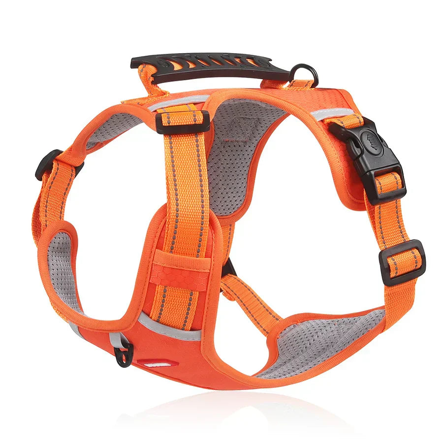 Orange Hundegeschirr, verstellbar, atmungsaktiv, reflektierend, für Outdoor-Aktivitäten.