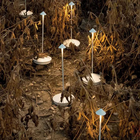 Moderne Gartenlampen mit blauem Schirm beleuchten trockene Pflanzen im Freien bei Nacht.