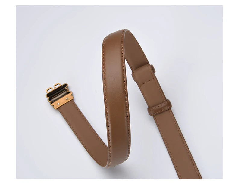 Brauner Ledergürtel mit goldener Schnalle, modisches Accessoire, hochwertiges Design.