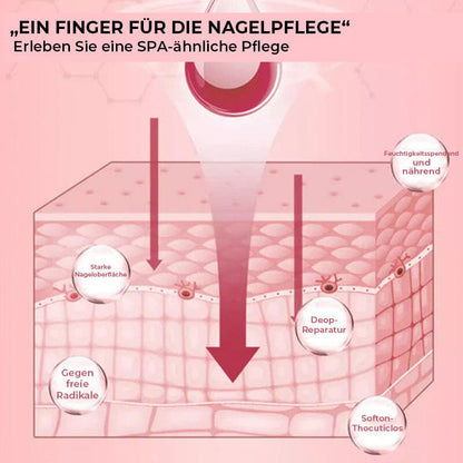 Rosa Querschnitt-Grafik der Haut, die zeigt, wie die Pflege in tiefere Schichten eindringt 7