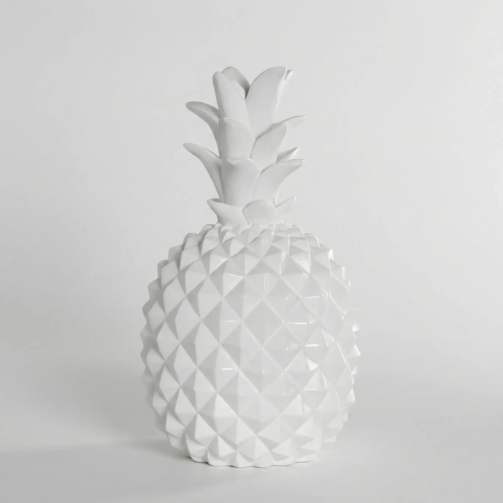Ananasgevormde Spaarpot Met Decoratief Karakter - Ananasave
