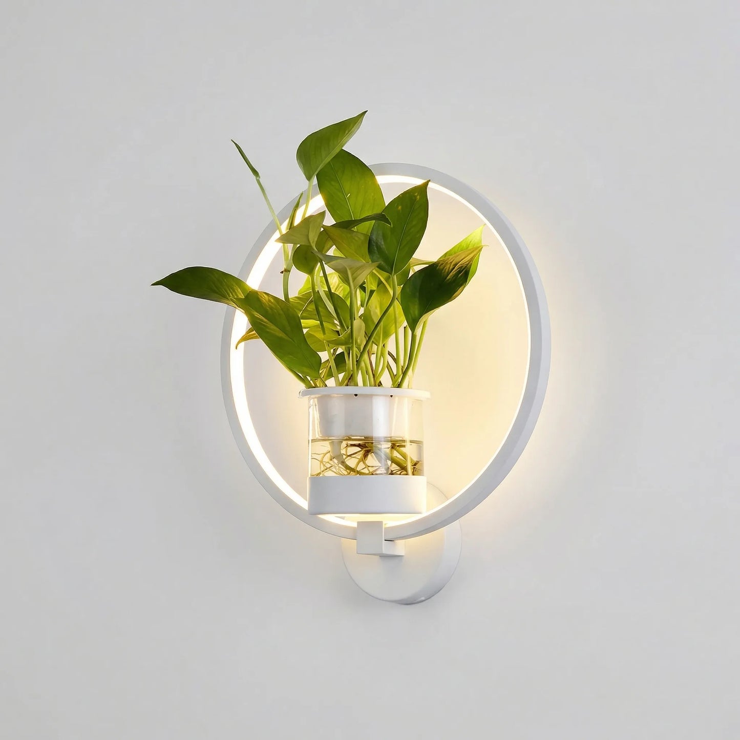 Circular LED Wall Sconce With Planter -  Botaniqua