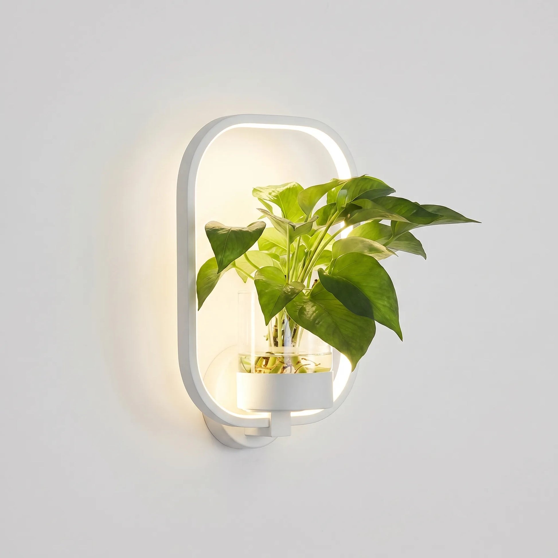 Circular LED Wall Sconce With Planter -  Botaniqua