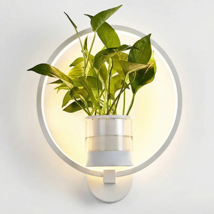 Circular LED Wall Sconce With Planter -  Botaniqua