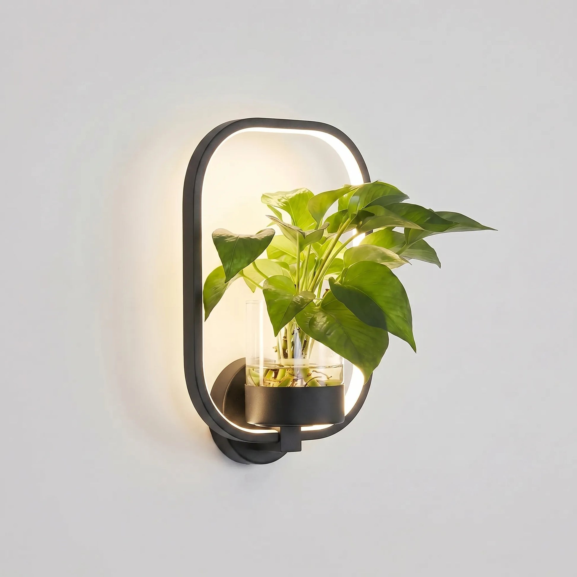 Circular LED Wall Sconce With Planter -  Botaniqua