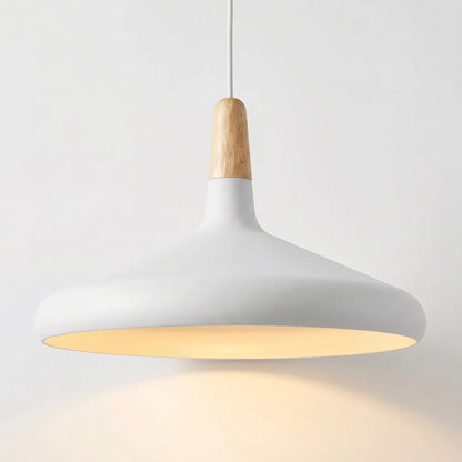 Conical Pendant Light -  Lumella