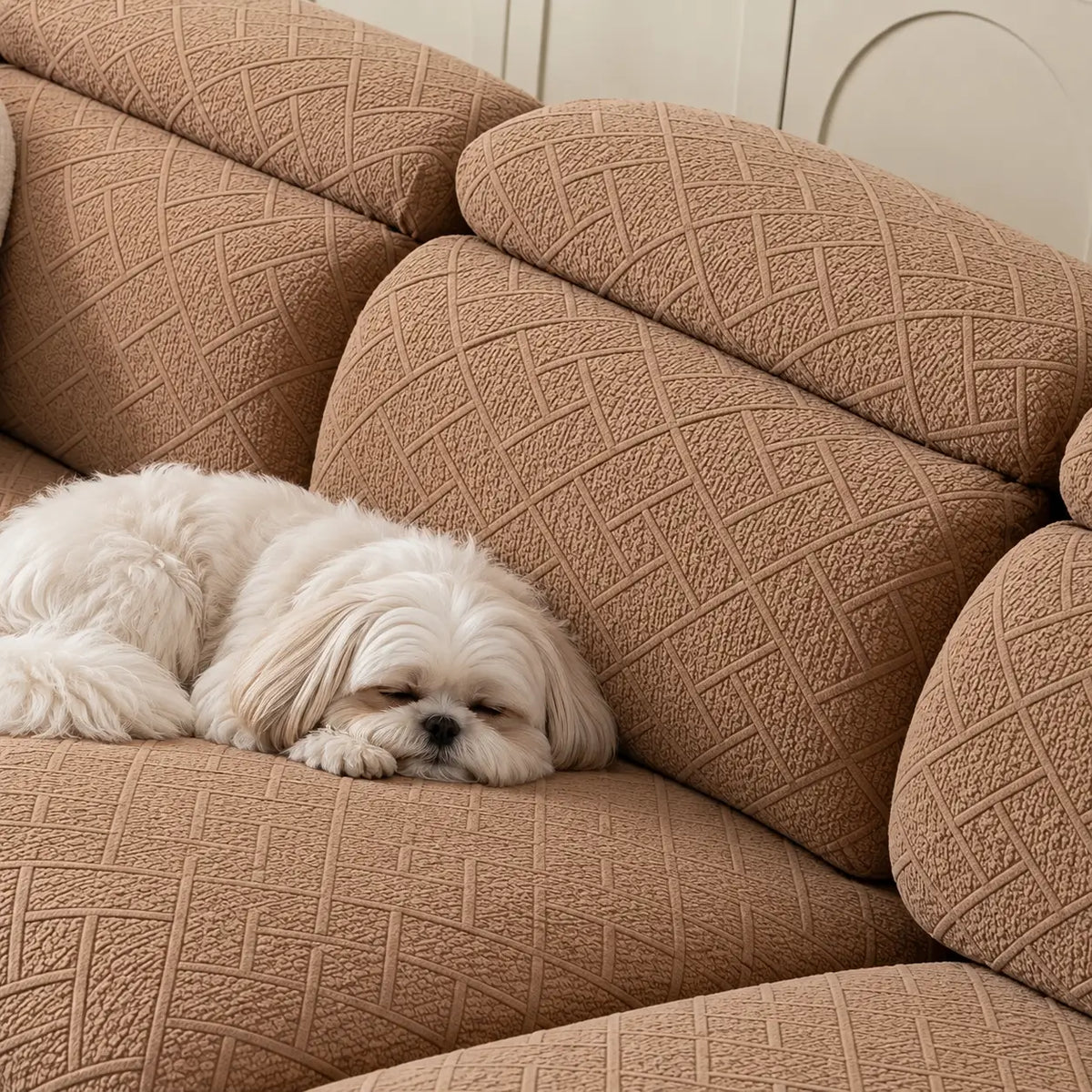 Weißer Hund schläft auf Sofa mit braunen Bezügen, Nahaufnahme der geprägten Rückenlehnen 11