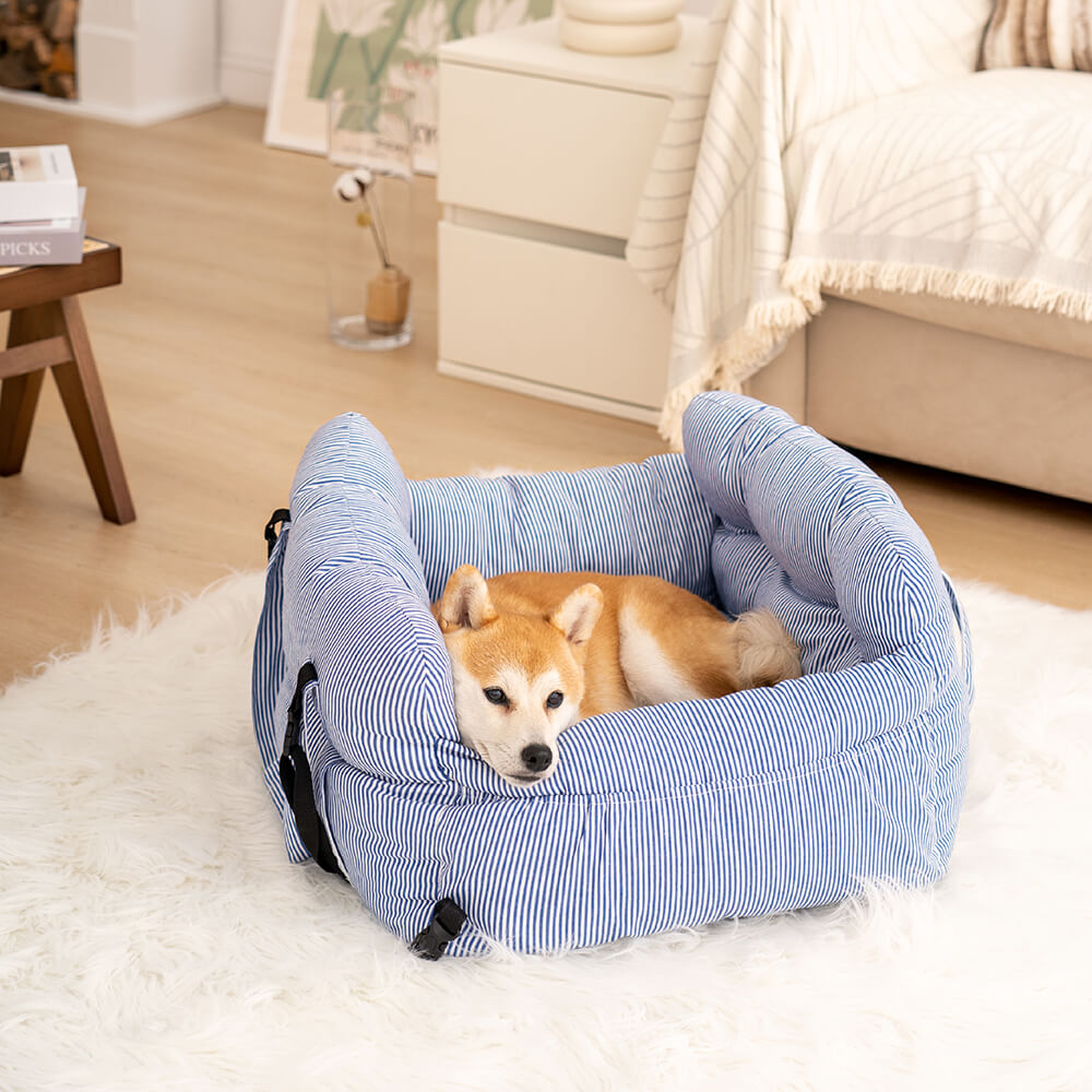 Hundebett Auto, tragbar, blau-weiß gestreift, für Haustiere, bequem, im Wohnzimmer.