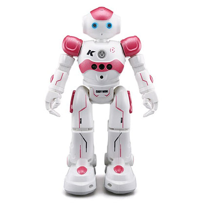 Interaktive Bildungsroboter - NovaBot