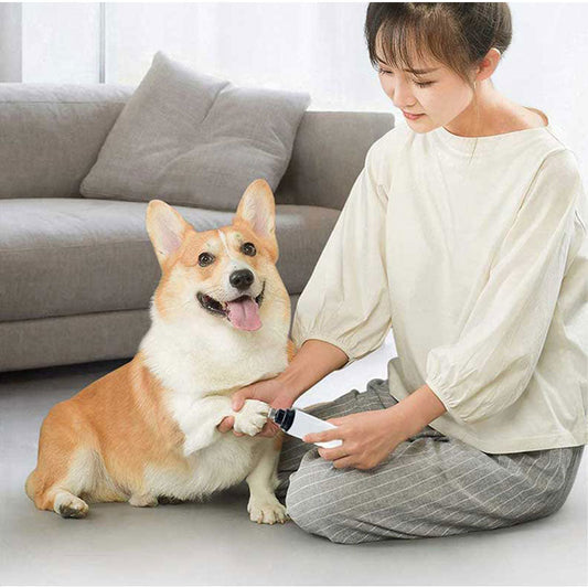 Drahtlose elektrische Nagelfeile für Hunde - ClawCare