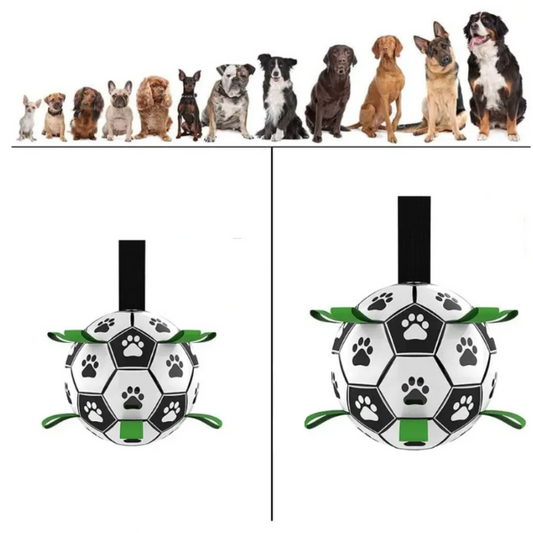 Nachhaltiger Hundesportball mit Griffen – TugBounce