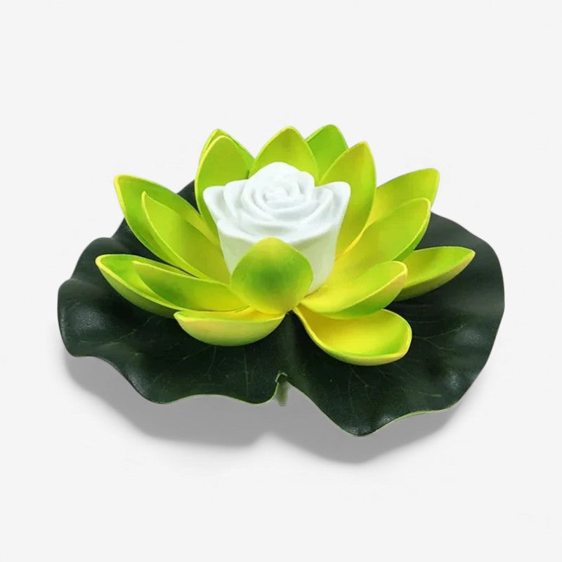 Schwimmende Lotusblüte mit gelbgrünen Blütenblättern und weißem Mittelteil auf dunkelgrünem Blatt, Seitenansicht 1