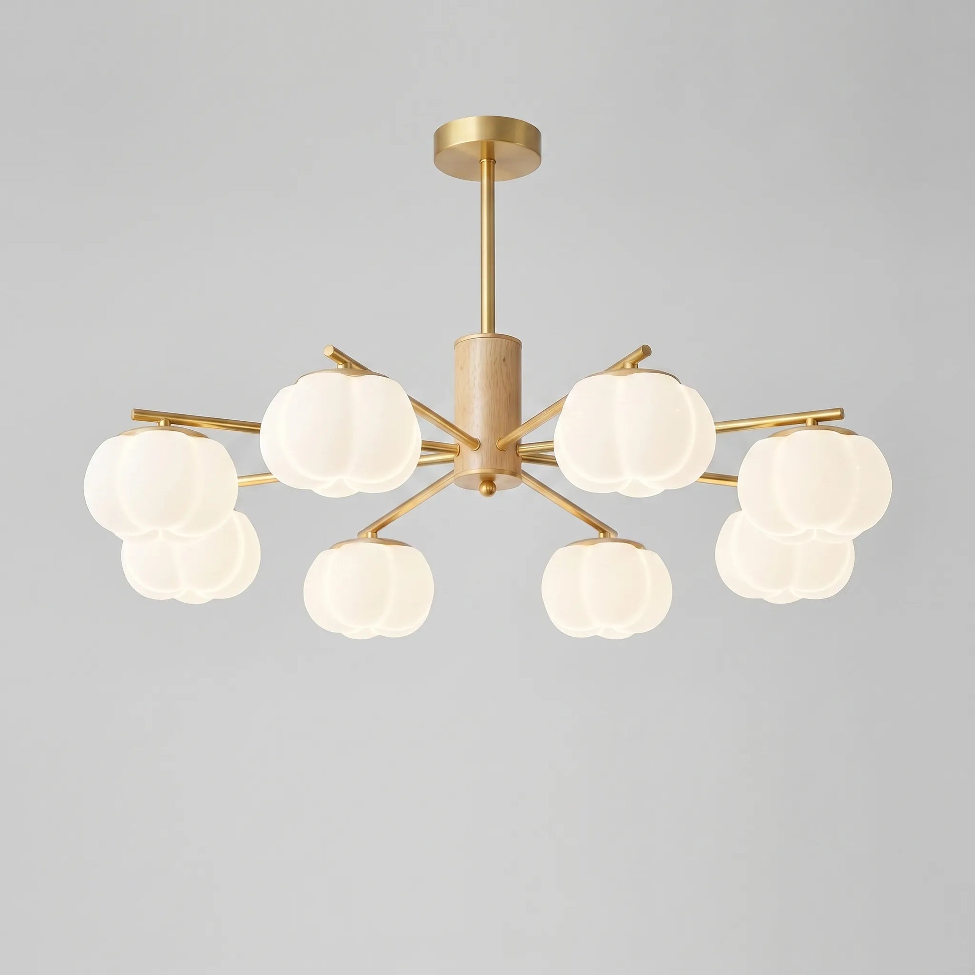 Modern Multi-Arm Ceiling Chandelier -  Luminaar