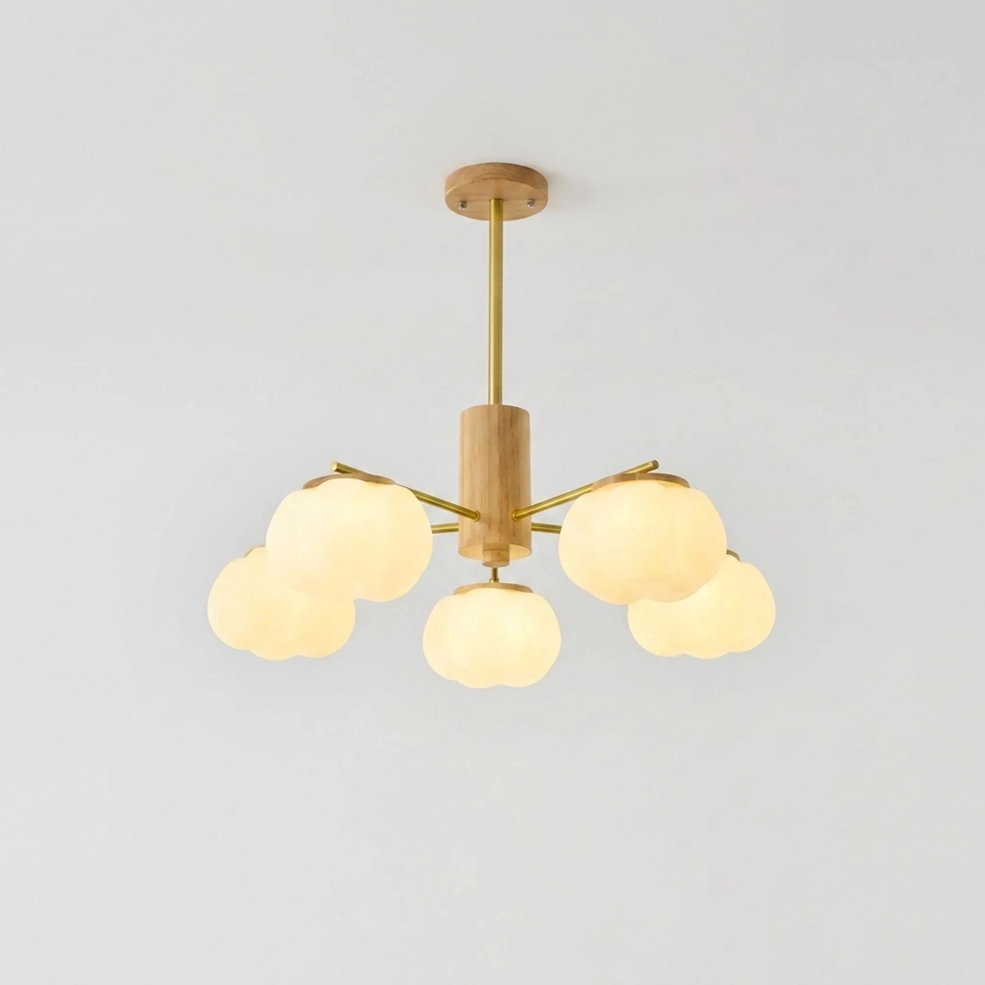 Modern Multi-Arm Ceiling Chandelier -  Luminaar