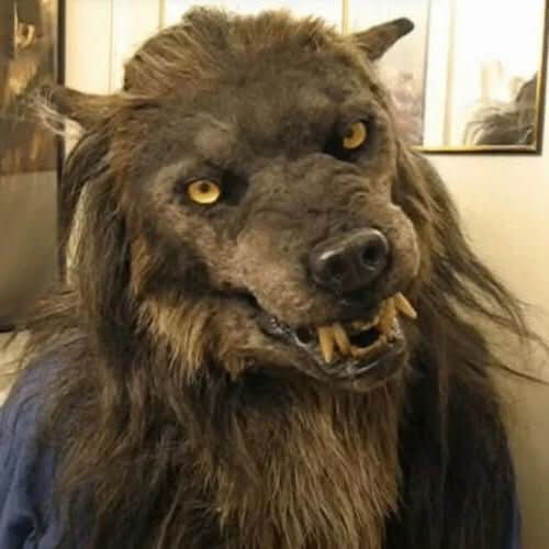 Person trägt die braune pelzige Werwolfmaske mit gelben Augen und sichtbaren Reißzähnen, leicht schräg fotografiert vor einer hellen Wand. 1