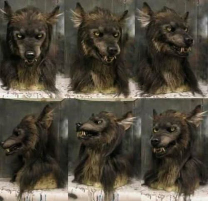 Sechs Ansichten der Werwolfmaske auf einem Ständer, von vorn, von der Seite und schräg, mit langem dunklem Fell. 2