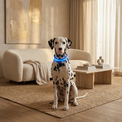 Sitzender Dalmatiner trägt das blau leuchtende Halsband in einem hellen Wohnzimmer mit Sofa und Couchtisch. 2