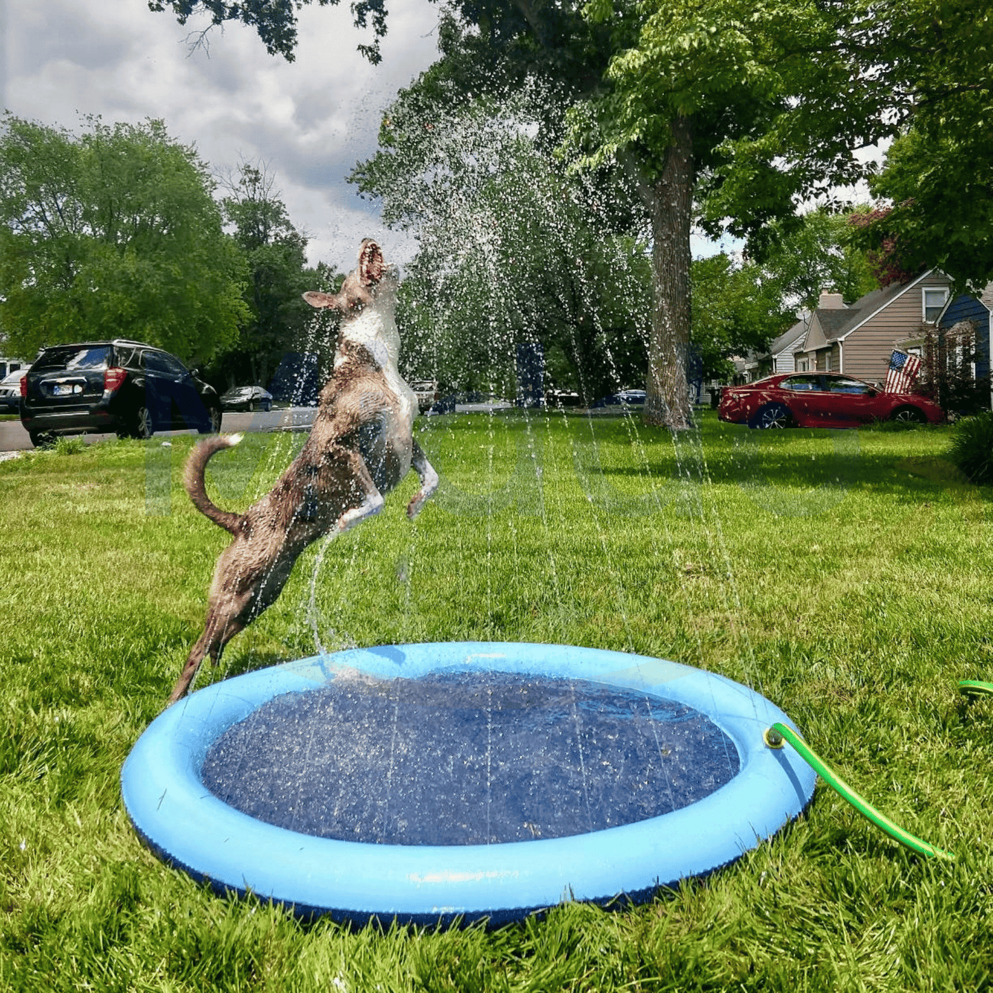 Spielbereich mit Wasserstrahlen – SplashZone