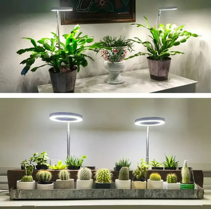 Full Spectrum LED Grow Light with Timer and Dimmer Function 2