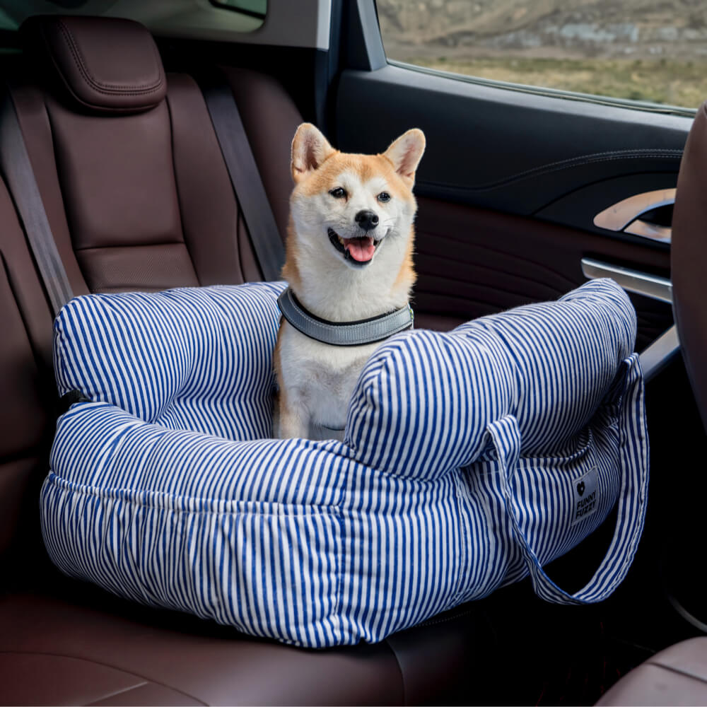 Gestreiftes blaues Hundebett Autositz, tragbar, für Haustiere, bequem, zweisitzig.