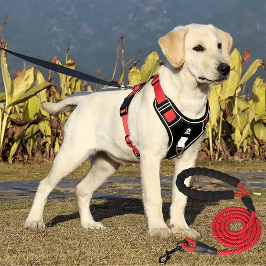 Anti-Trek Hundegeschirr mit Komfortpolsterung – PullFree