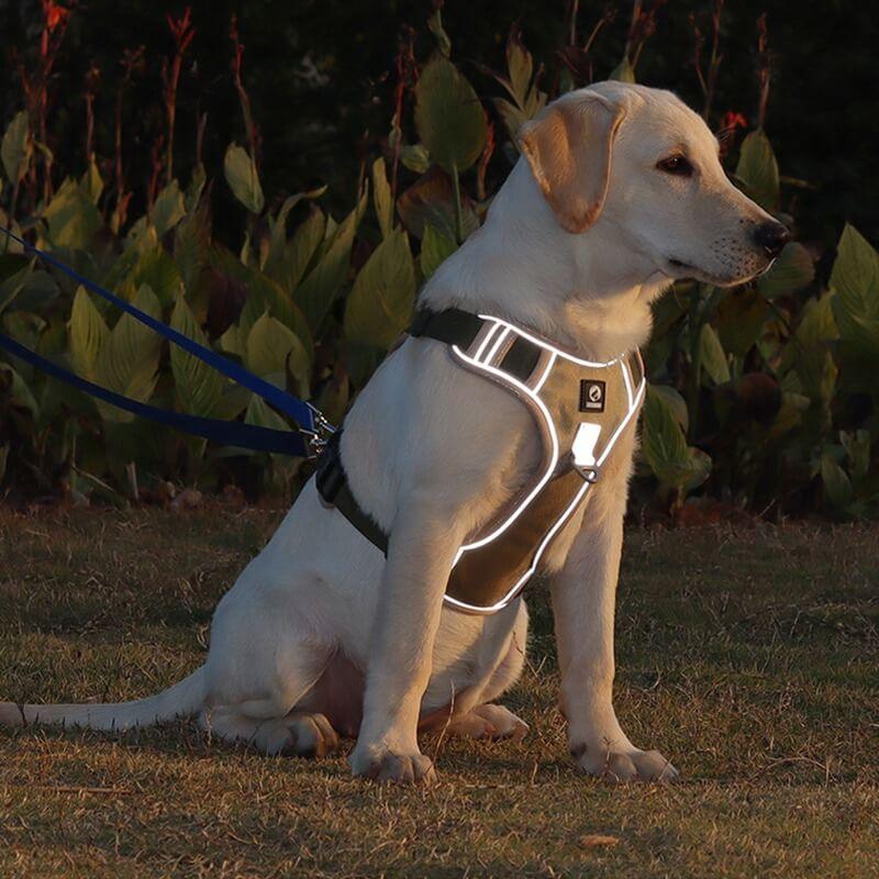 Anti-Trek Hundegeschirr mit Komfortpolsterung – PullFree
