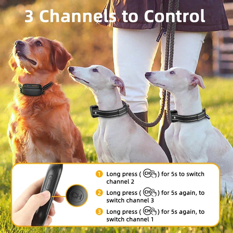 Elektrisches Hundetraining-Halsband mit 1000 m Reichweite und wasserdichtem Design – PetTrainer
