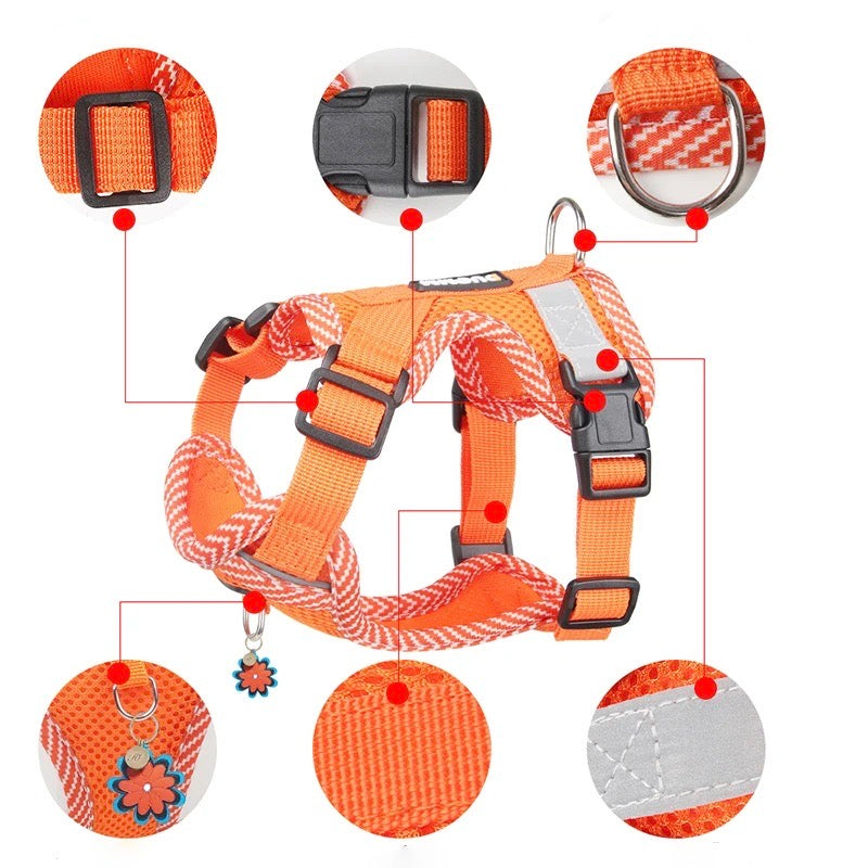 Orange Hundegeschirr, verstellbar, reflektierend, mit Blumenanhänger, strapazierfähiges Nylon.