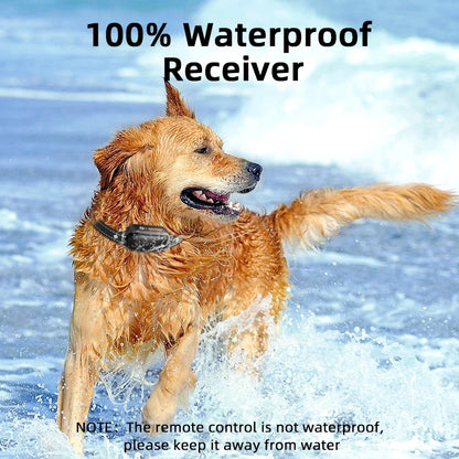 Elektrisches Hundetraining-Halsband mit 1000 m Reichweite und wasserdichtem Design – PetTrainer