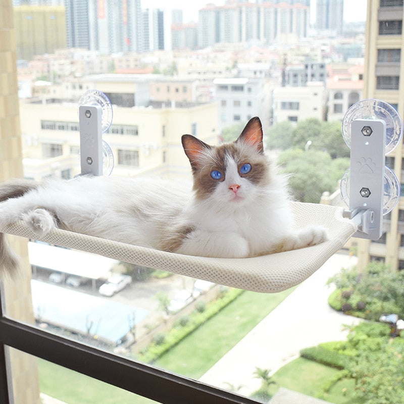 Katze auf Fensterliege, beige, mit Saugnäpfen, Stadtblick, Katzenbett, Haustierzubehör.