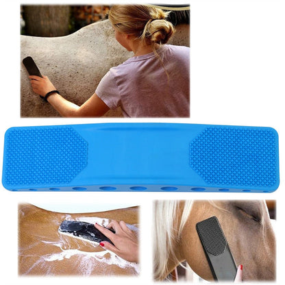 Frau pflegt Pferd mit blauem Pferdestriegel, Fellpflege, Reinigungsbürste, Tierpflegezubehör.