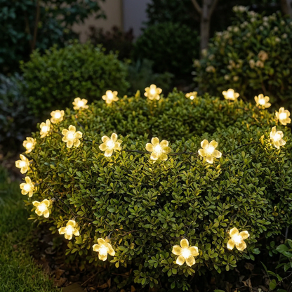 Solar-Powered LED Blossom String Lights -  Blossara