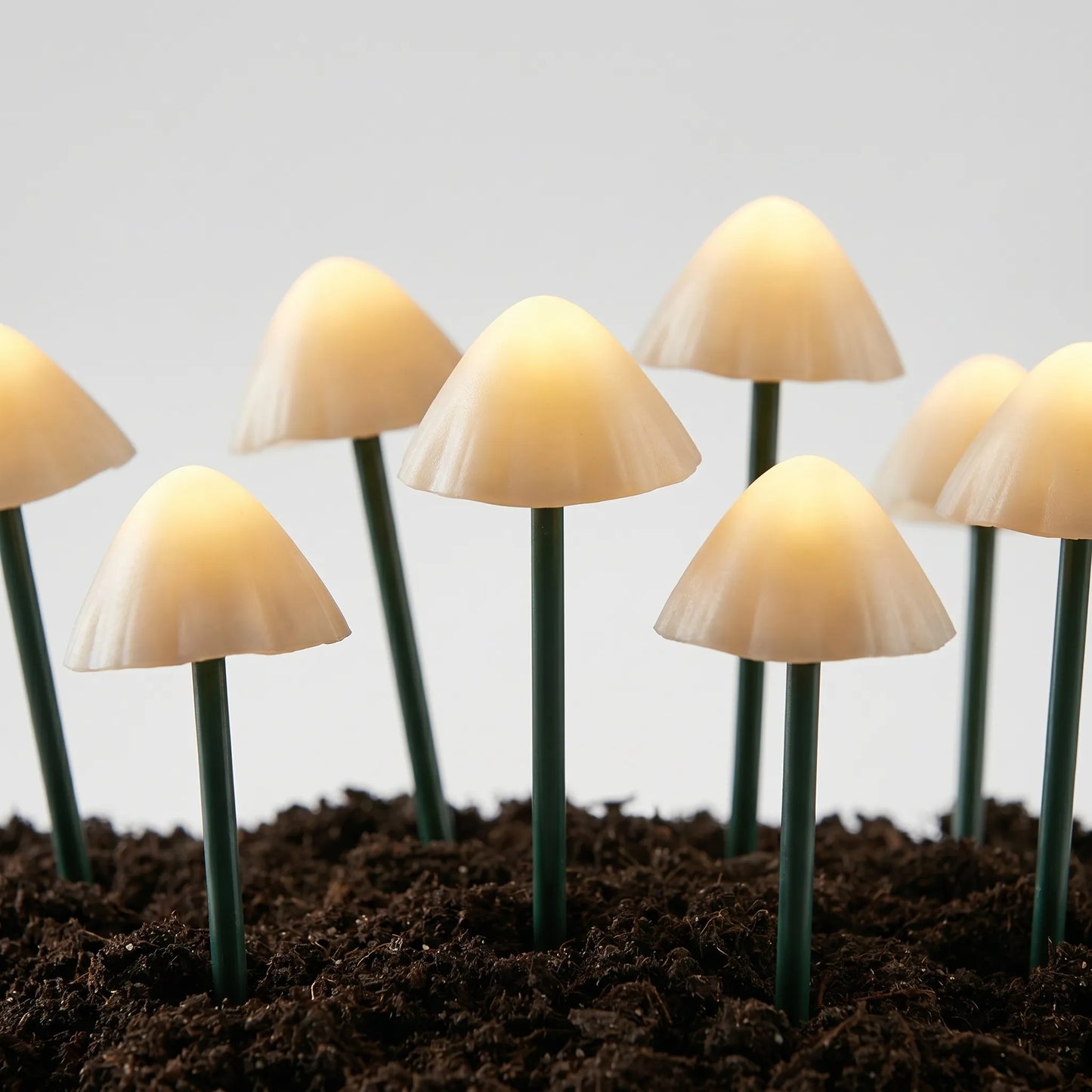 Solar-Powered Mushroom String Lights -  Glowcap