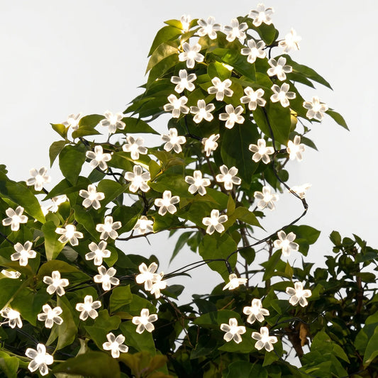Solarlichterkette Draußen - Blossomray