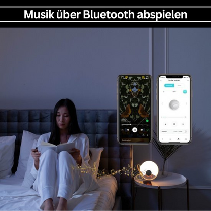 Frau liest im Bett, Bluetooth-Lautsprecher, Smartphone-Steuerung, moderne Schlafzimmerbeleuchtung.