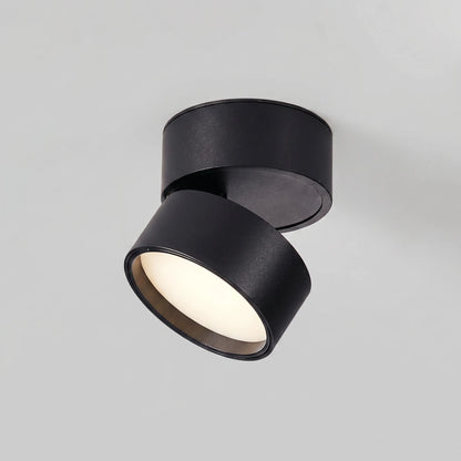 Surface Mounted Ceiling Spotlight -  Pivotra