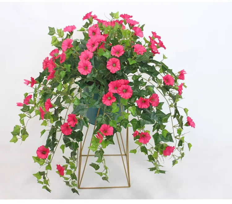 Rosa Prunkwinden mit überhängenden Ranken in einem Topf auf einem goldfarbenen Drahtgestell, vor weißem Hintergrund. 3